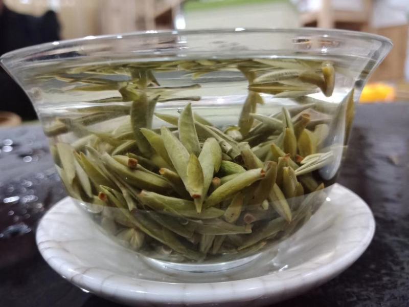 福鼎白茶2020年白毫银针头春头采首日芽散茶