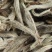 【限量】福鼎白茶2014白毫银针散茶