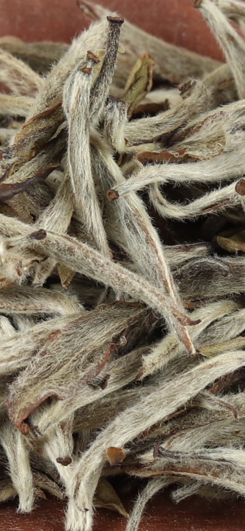 【限量】福鼎白茶2014白毫银针散茶