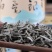 【限量】福鼎白茶2014白毫银针散茶
