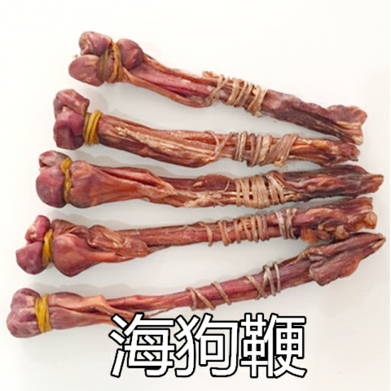正宗海狗鞭泡酒煲汤男性养生滋补珍品（干货包邮）