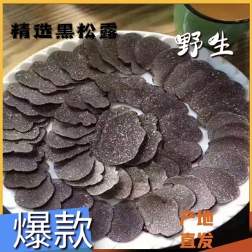 优质云南保山海棠黑松露，以及自烤干片，支持看货现发！