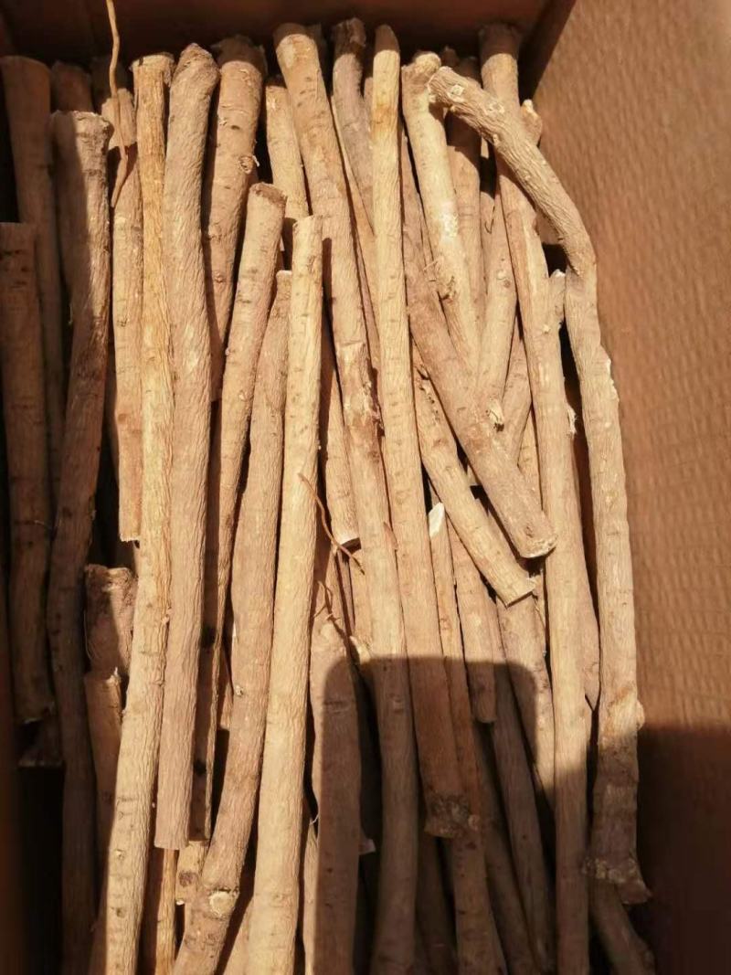 【优质】甘肃岷县野生黄芪黄芪片指甲片无硫地道药材