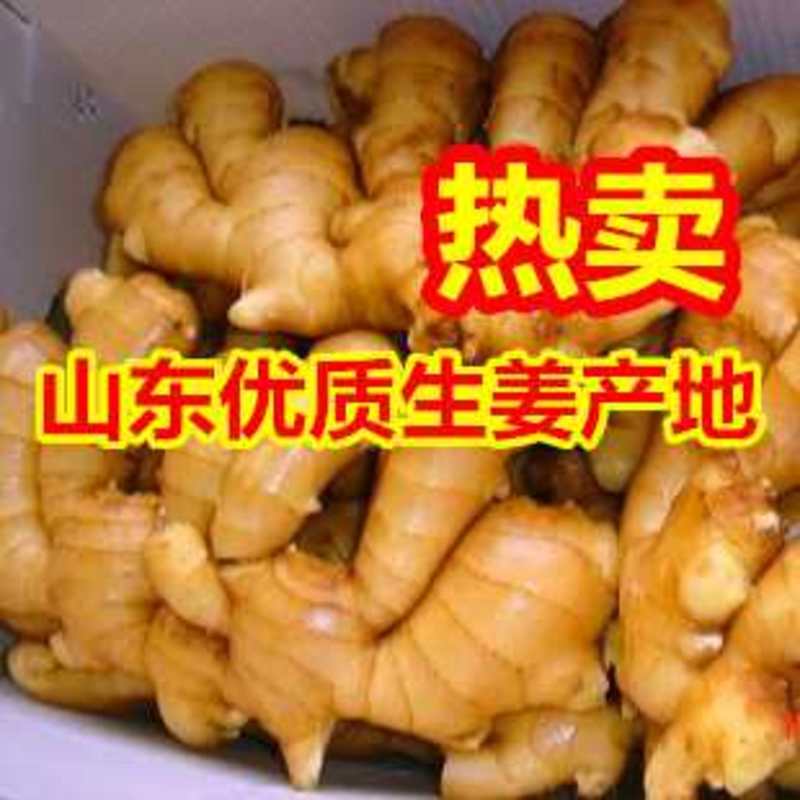 【电商】山东大姜，社区团购大黄姜生姜产地全国发货保证质量