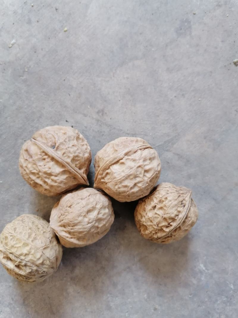 【精品】云南大姚薄皮核桃当年新货，103果