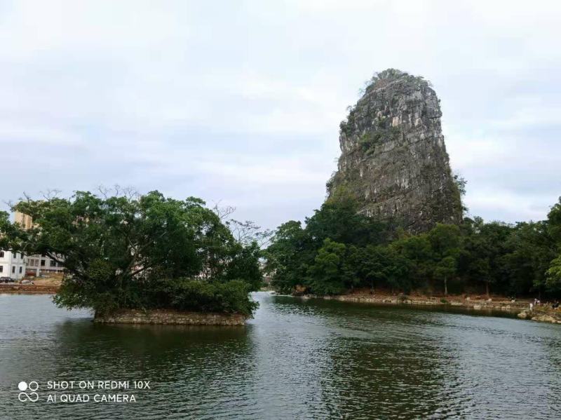 广东无籽香水柠檬（缺果季，山地果香味浓郁）