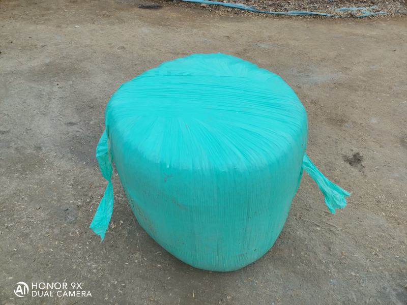 全株青贮玉米饲料籽粒破碎含量高