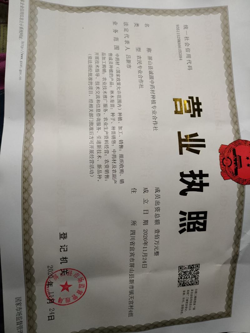 金果榄，地苦胆，产地四川