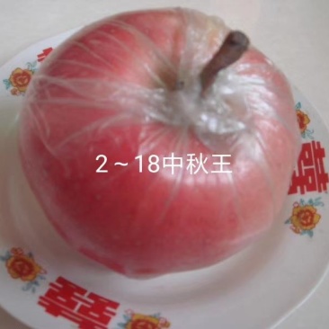 2—18中秋王苹果苗，中秋，国庆成熟，果个大.色泽好