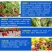 膨化磷二氢钾通用型磷钾肥蔬菜果树茶叶烟叶面喷施飞防速溶型