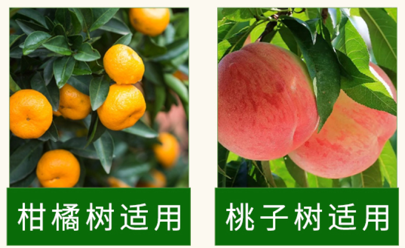 大量元素水溶肥14-6-40+TE-果然美