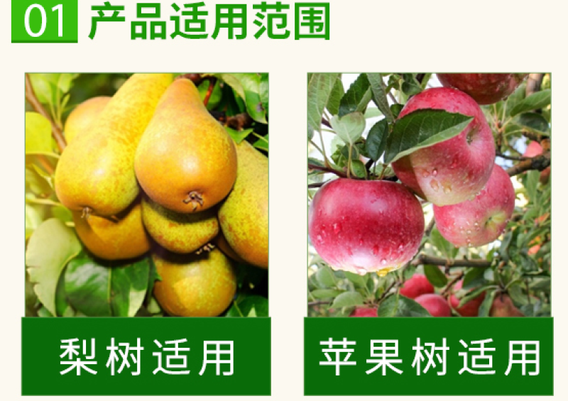 大量元素水溶肥14-6-40+TE-果然美