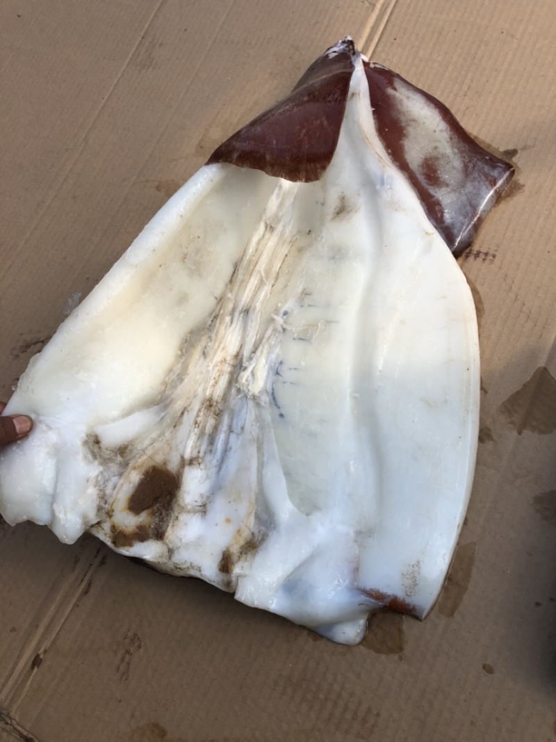 跑江湖好产品，诚信经营为理念