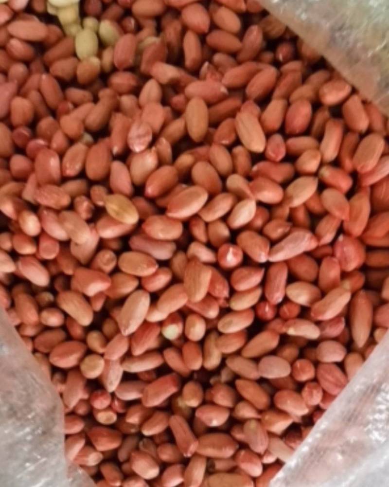 花玉精选米纯人工手捡无内霉，无芽，适合市场，食品厂用米