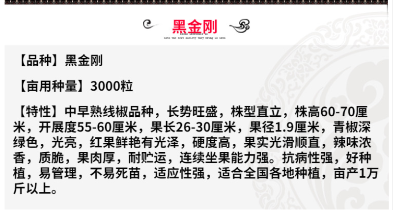 线王8号优质特高产深绿色线椒种子