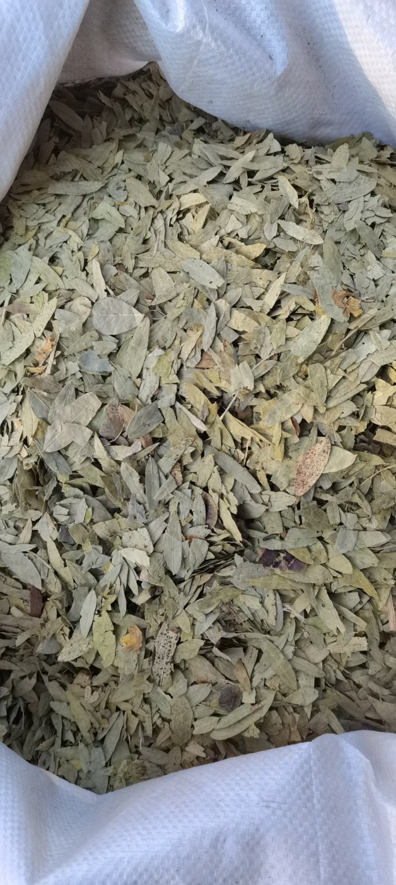番泻叶泻叶无硫熏无添加各种中药材