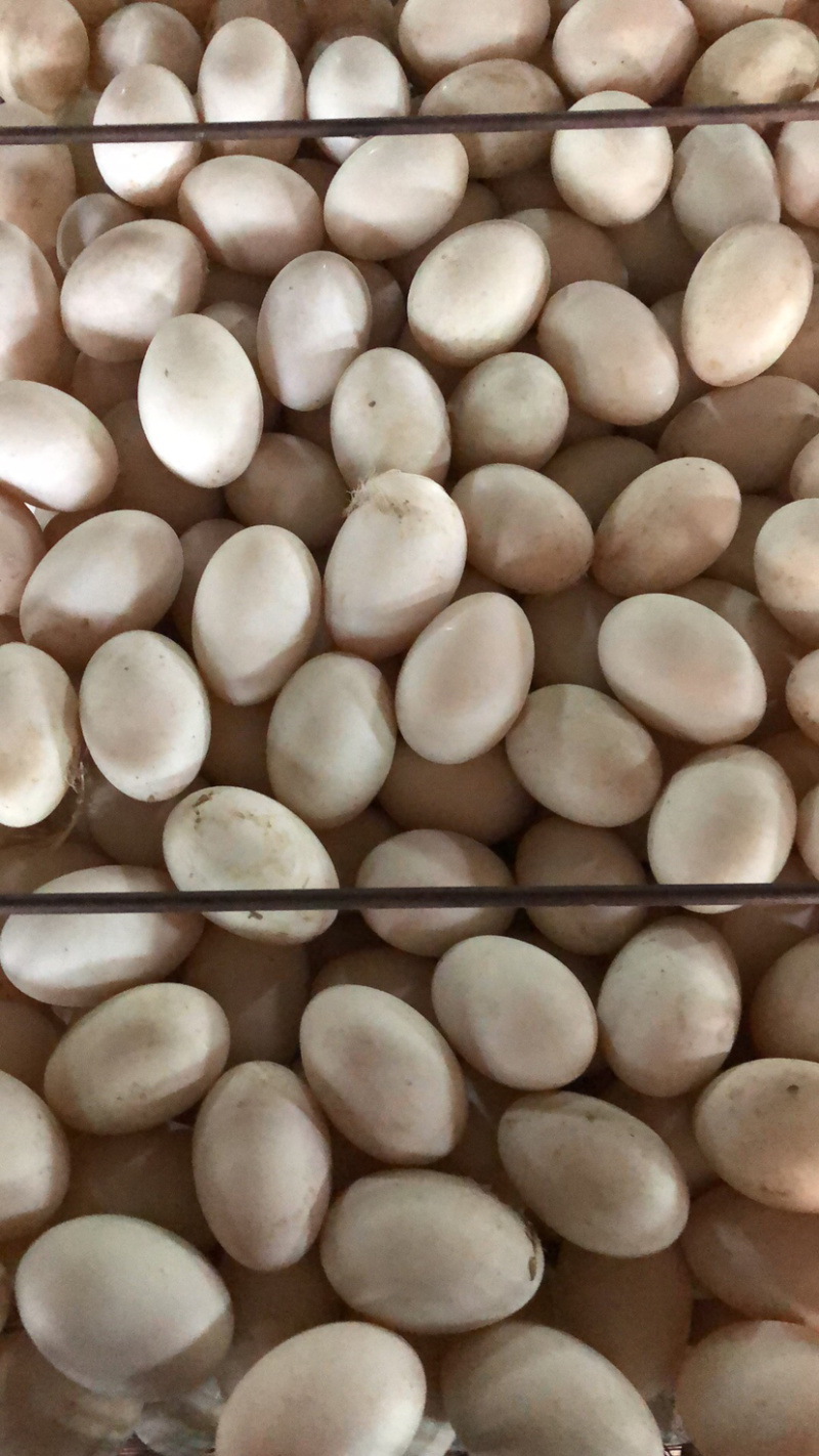 裂纹蛋，精纹蛋，哑蛋破壳蛋破损鲜鸭蛋价格美丽