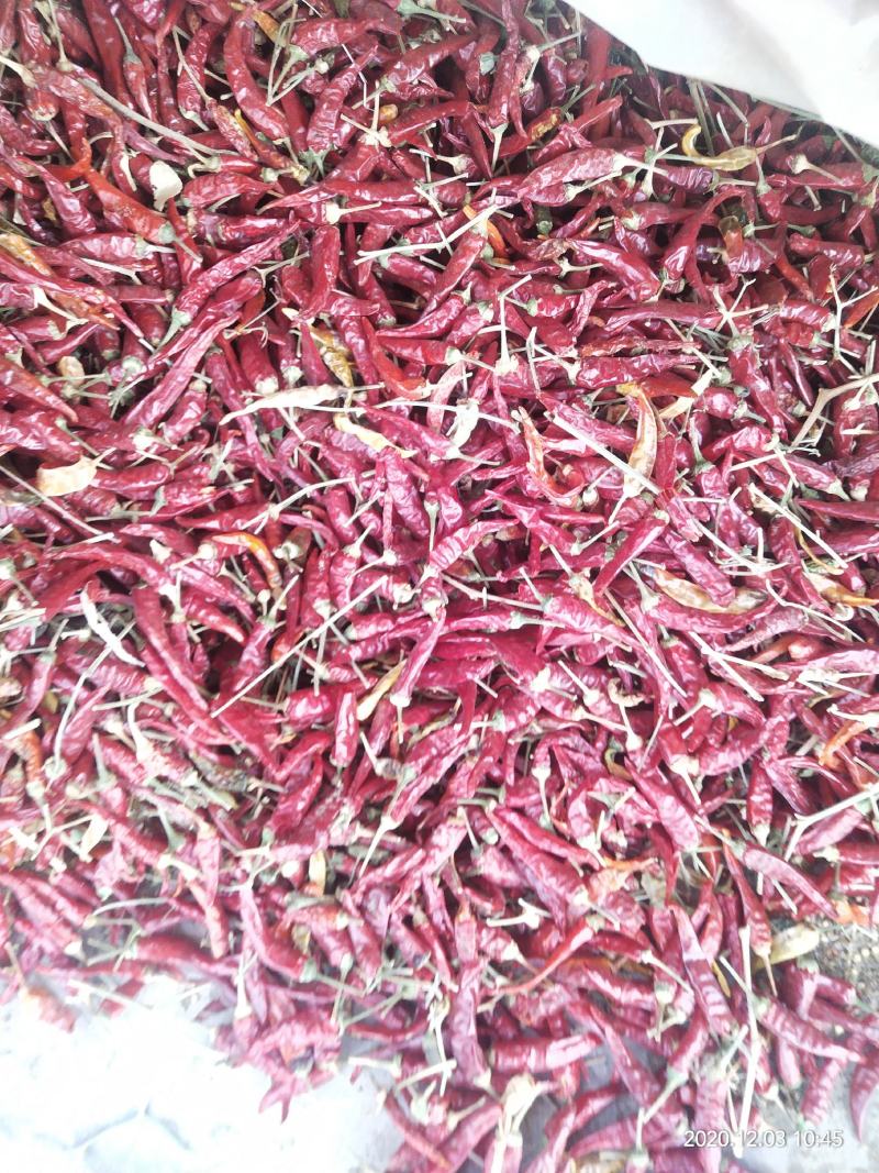 精品朝天椒，质优价廉，色泽好，辣度特辣，有需要请与我联系