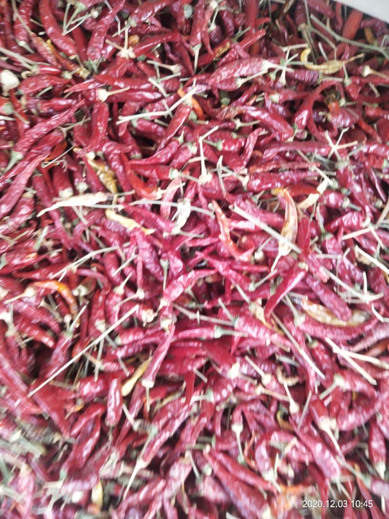 精品朝天椒，质优价廉，色泽好，辣度特辣，有需要请与我联系