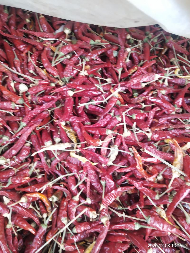 精品朝天椒，质优价廉，色泽好，辣度特辣，有需要请与我联系