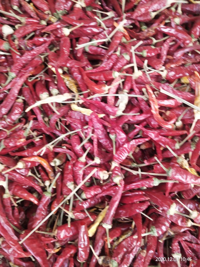 精品朝天椒，质优价廉，色泽好，辣度特辣，有需要请与我联系