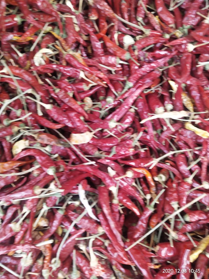 精品朝天椒，质优价廉，色泽好，辣度特辣，有需要请与我联系