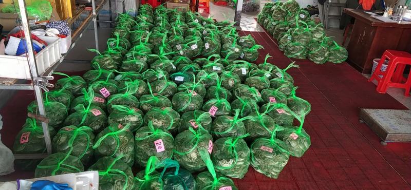 老头蟹江苏7～9钱及一两以上小母蟹。质量好无空蟹只只包肥