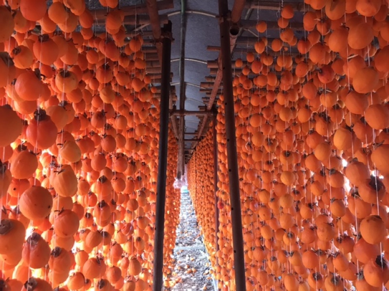 山东优质大量红饼霜饼专业合作社各种包装一件代发各种规格