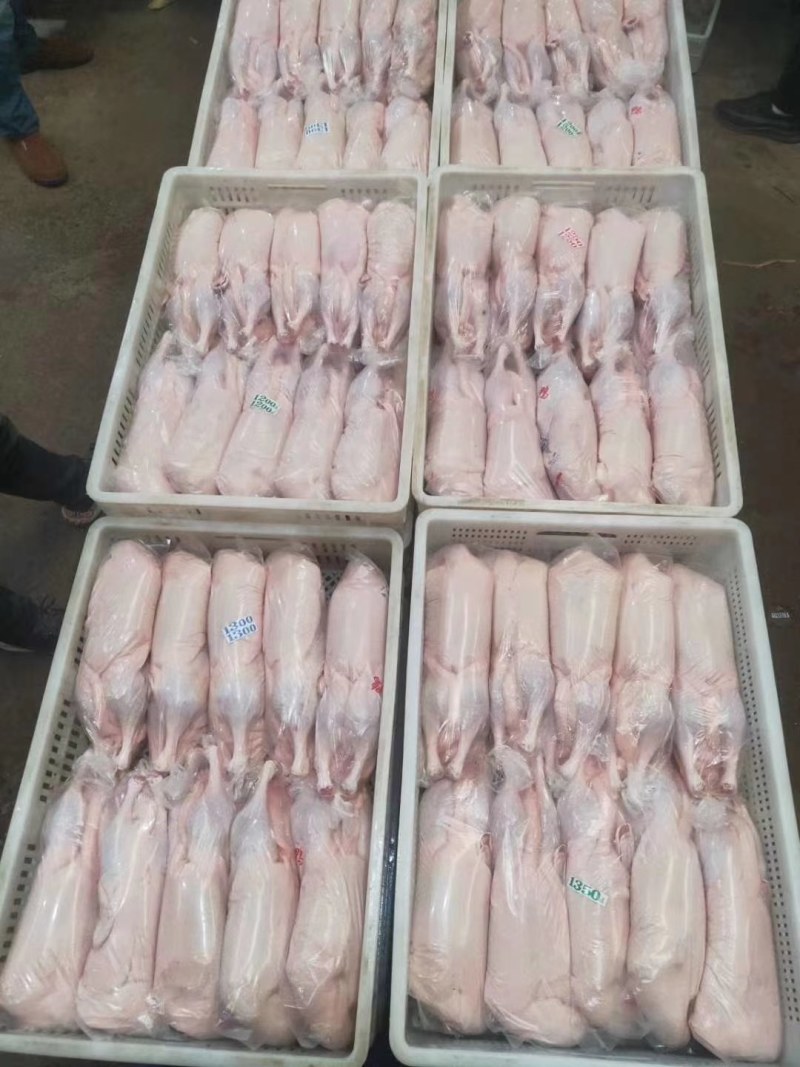 白条鸭出售1800克优质一级白条鸭，净膛，毛净度好！
