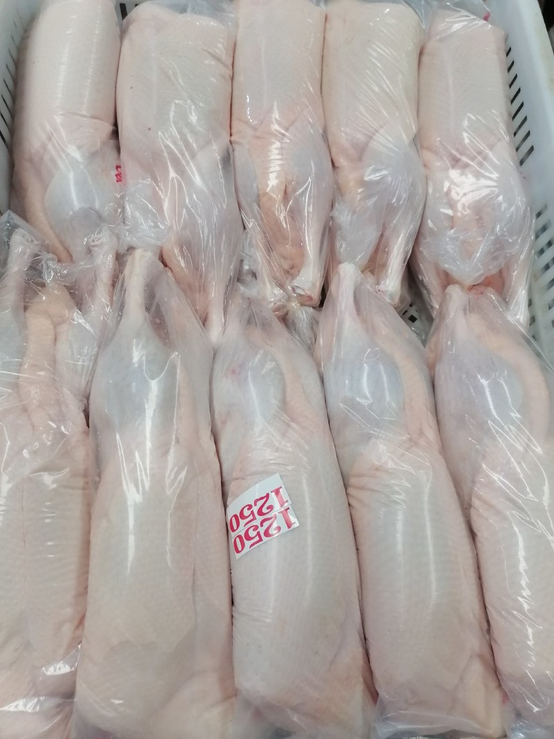 白条鸭出售1800克优质一级白条鸭，净膛，毛净度好！