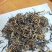 高香型英红九号一牙二叶冬茶