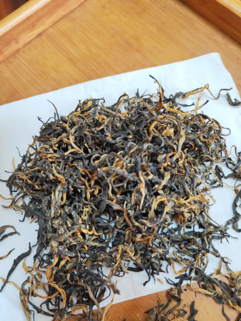 高香型英红九号一牙二叶冬茶