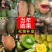 猕猴桃树苗嫁接红心黄心软枣弥猴桃南北方盆地栽种植当年结果