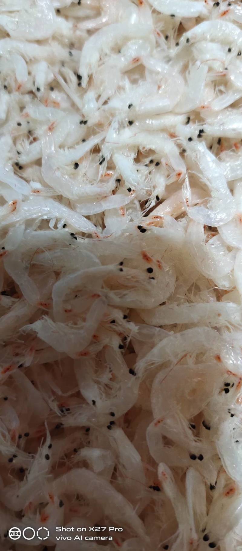 淡干无盐虾皮，即食，做汤，包水饺，都可以。