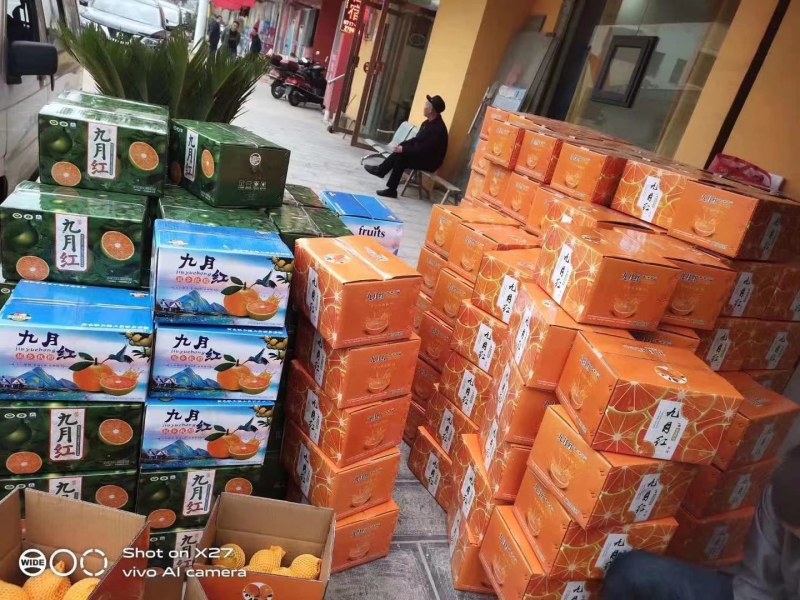 精品九月红脐橙产地直发品质保证一手货源一件代发。