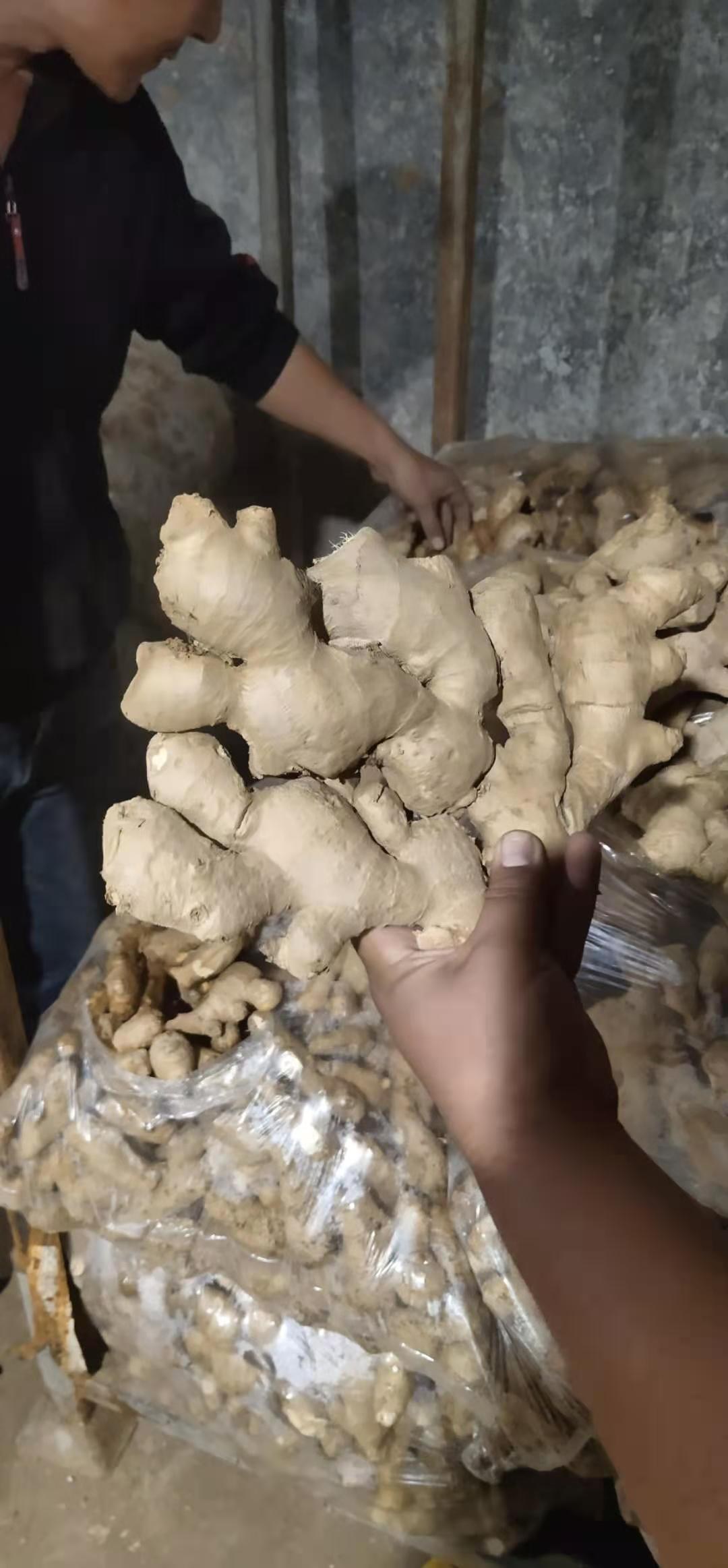 生姜怎么批发出去不会坏