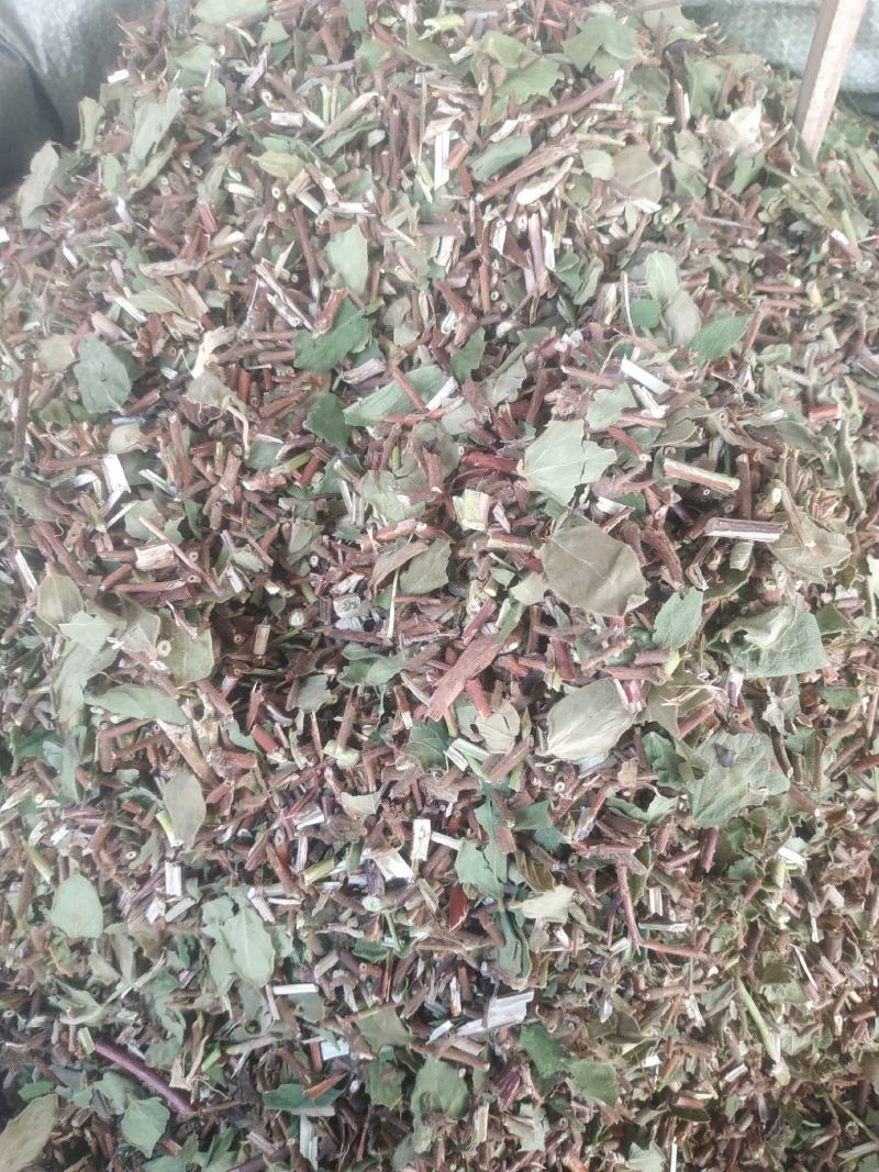 金银花藤～新货～量大优惠～1公斤起售～欢迎咨询采购