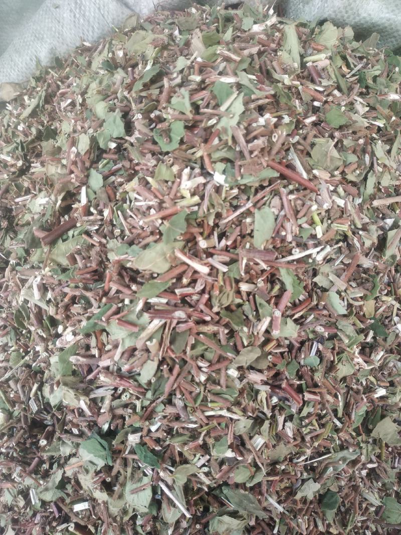 金银花藤～新货～量大优惠～1公斤起售～欢迎咨询采购