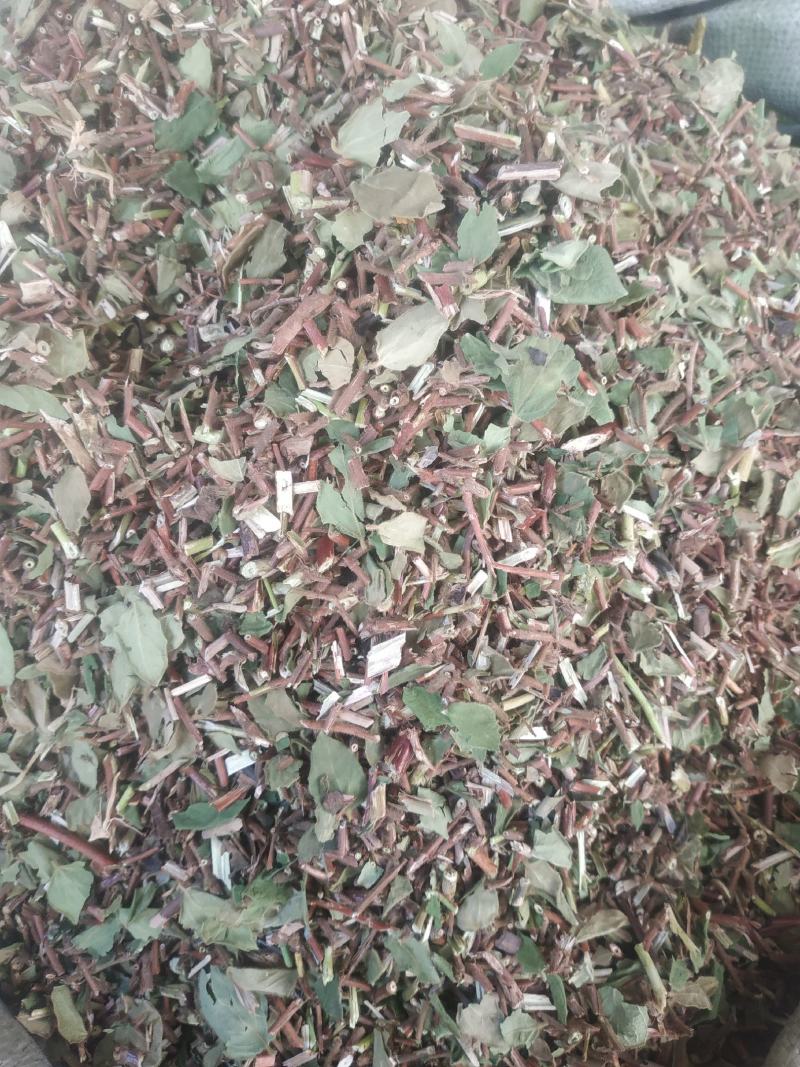 金银花藤～新货～量大优惠～1公斤起售～欢迎咨询采购