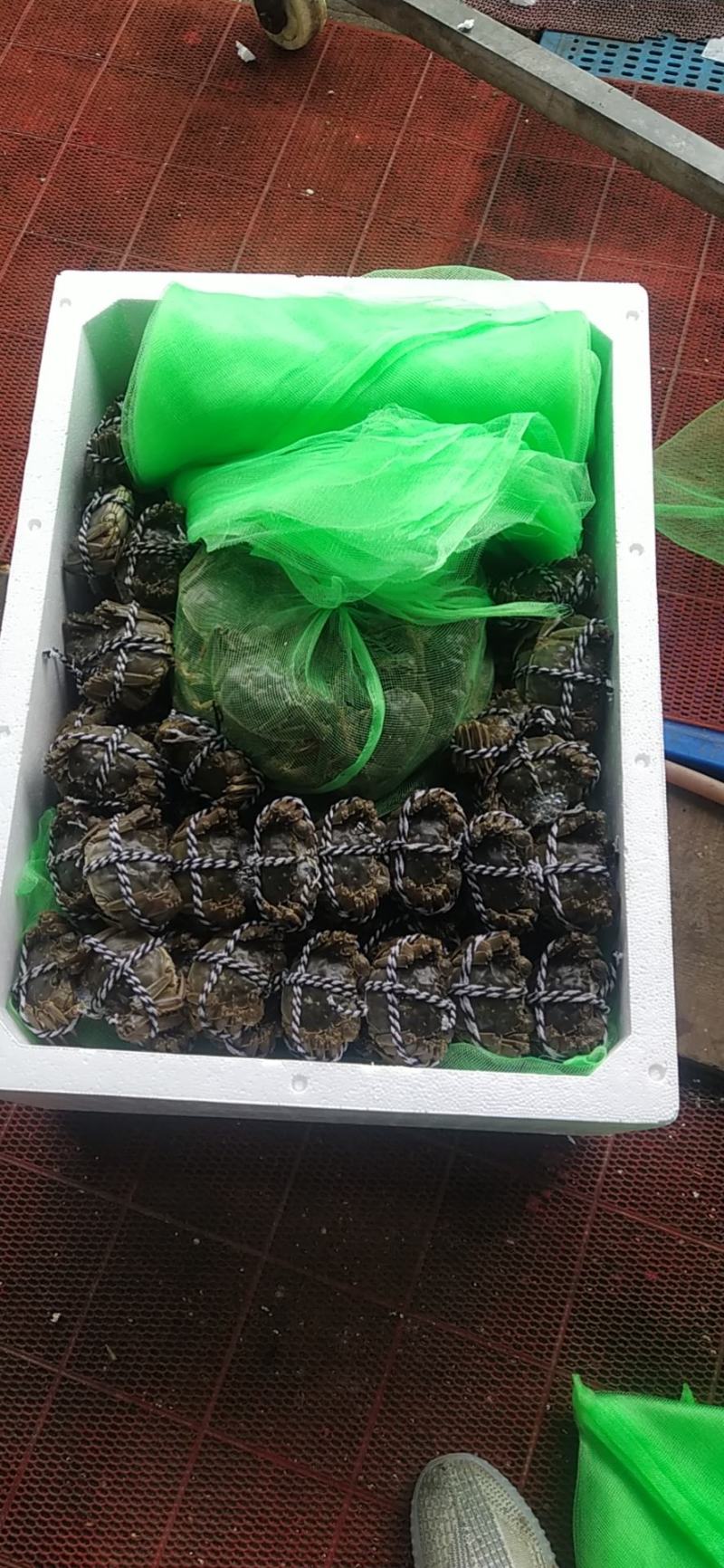 老头蟹公蟹，毛公，中公以及各类规格公蟹，规格好