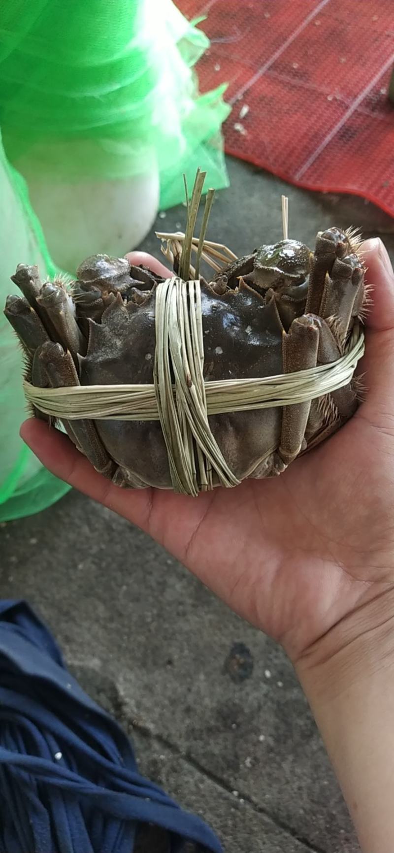 老头蟹公蟹，毛公，中公以及各类规格公蟹，规格好