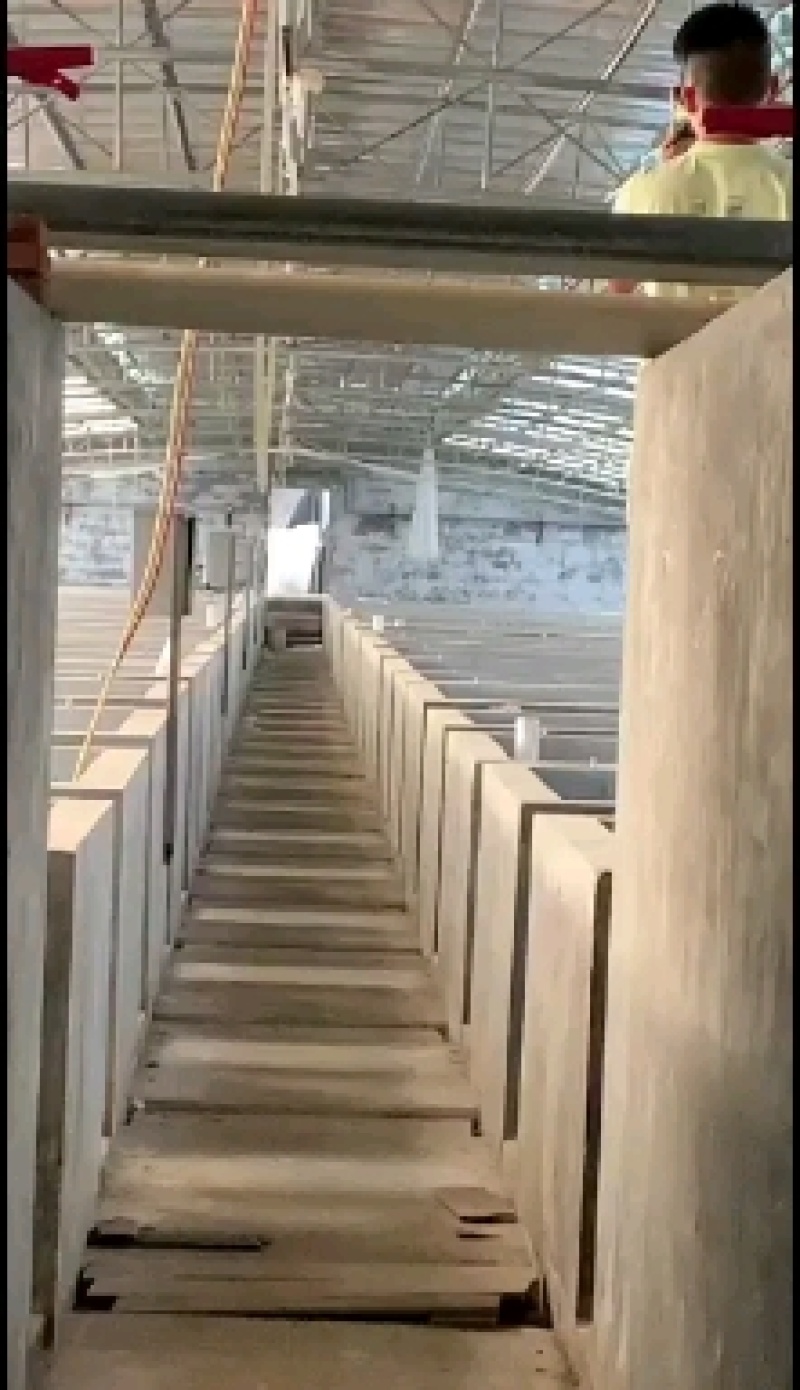 【泥鳅苗】台湾泥鳅苗+杂交泥鳅苗批发+签合同回收技术指导