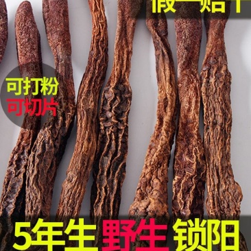 【包邮】锁阳特级正品今年新货500克品质好大量供应产地发