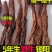 【包邮】锁阳特级正品今年新货500克品质好大量供应产地发