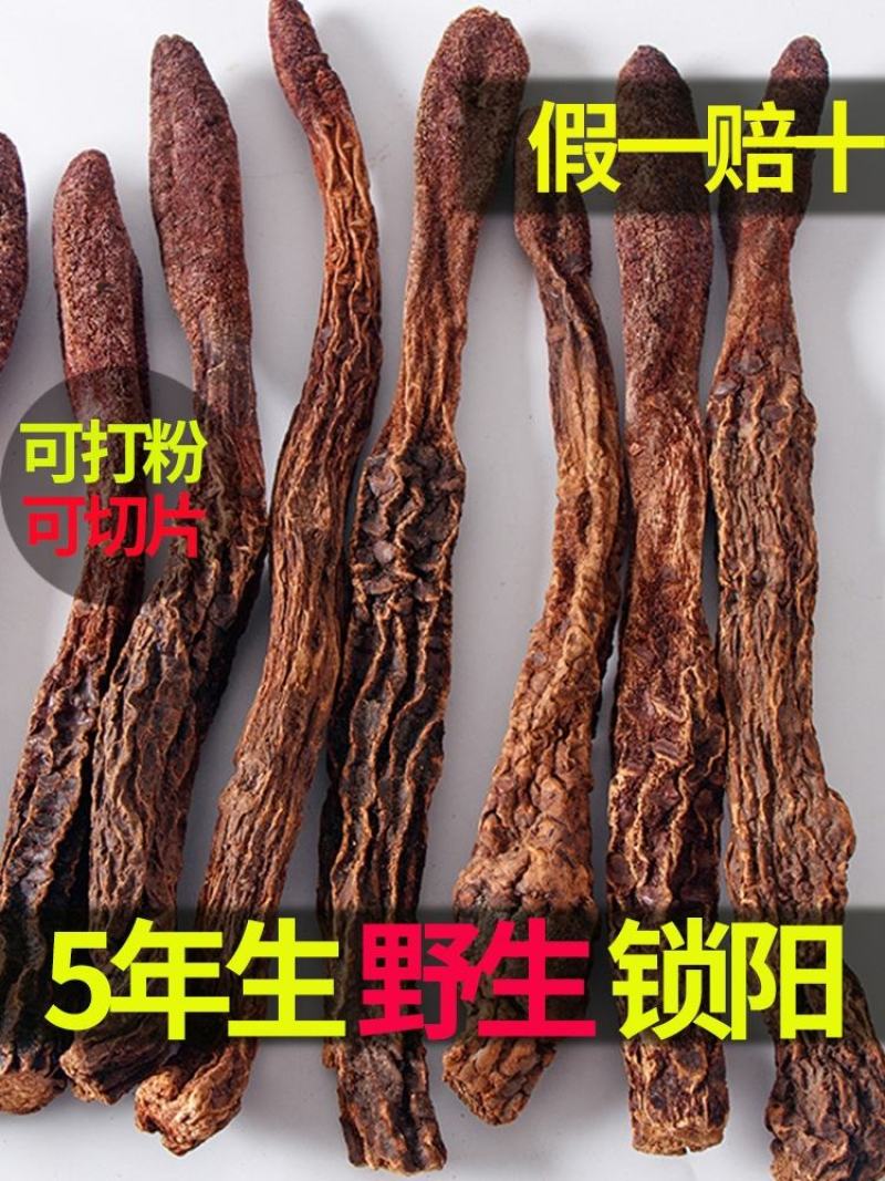 【包邮】锁阳特级正品今年新货500克品质好大量供应产地发