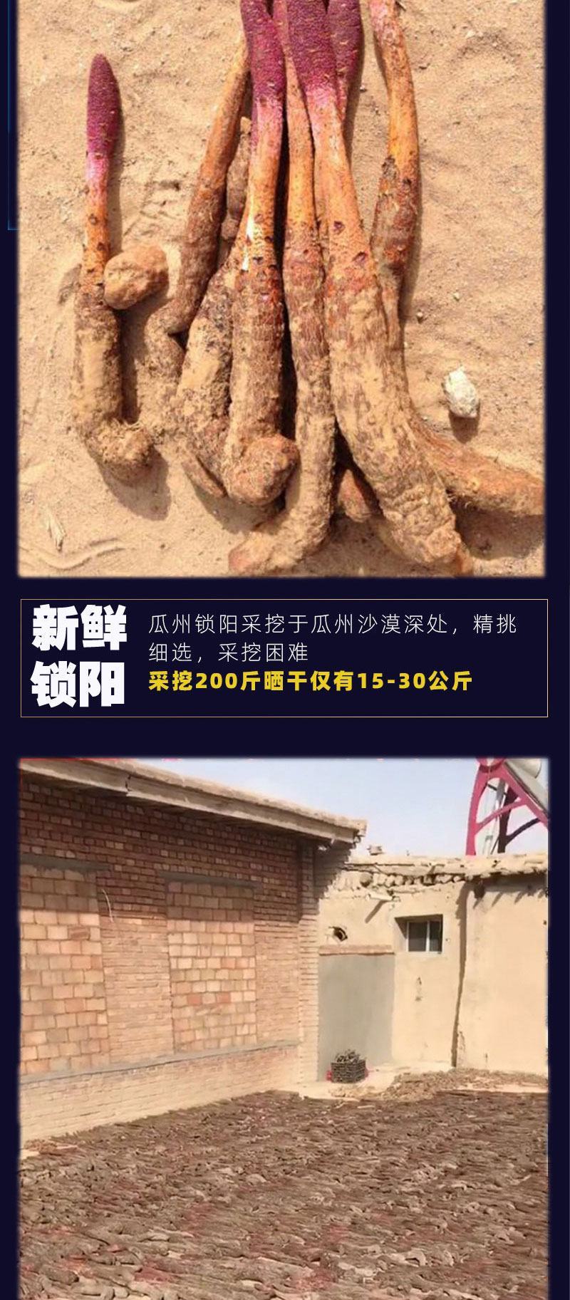 【包邮】锁阳特级正品今年新货500克品质好大量供应产地发