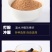 【包邮】锁阳特级正品今年新货500克品质好大量供应产地发
