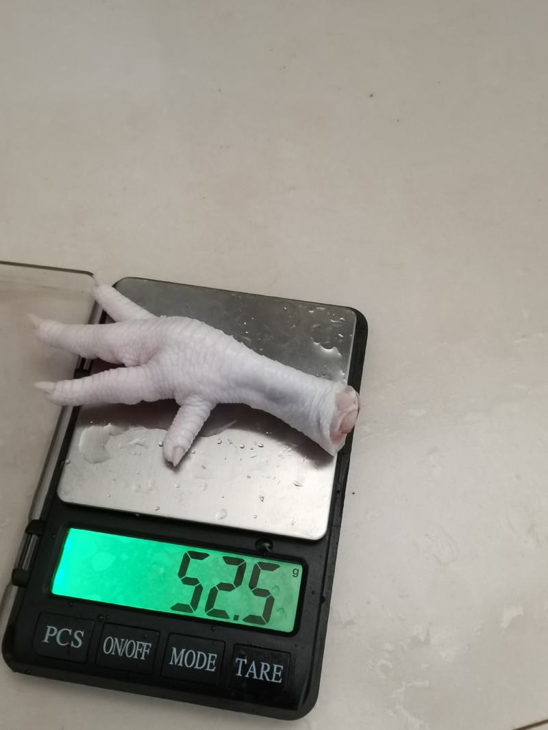 俄罗斯直采031—012—047厂正关鸡爪