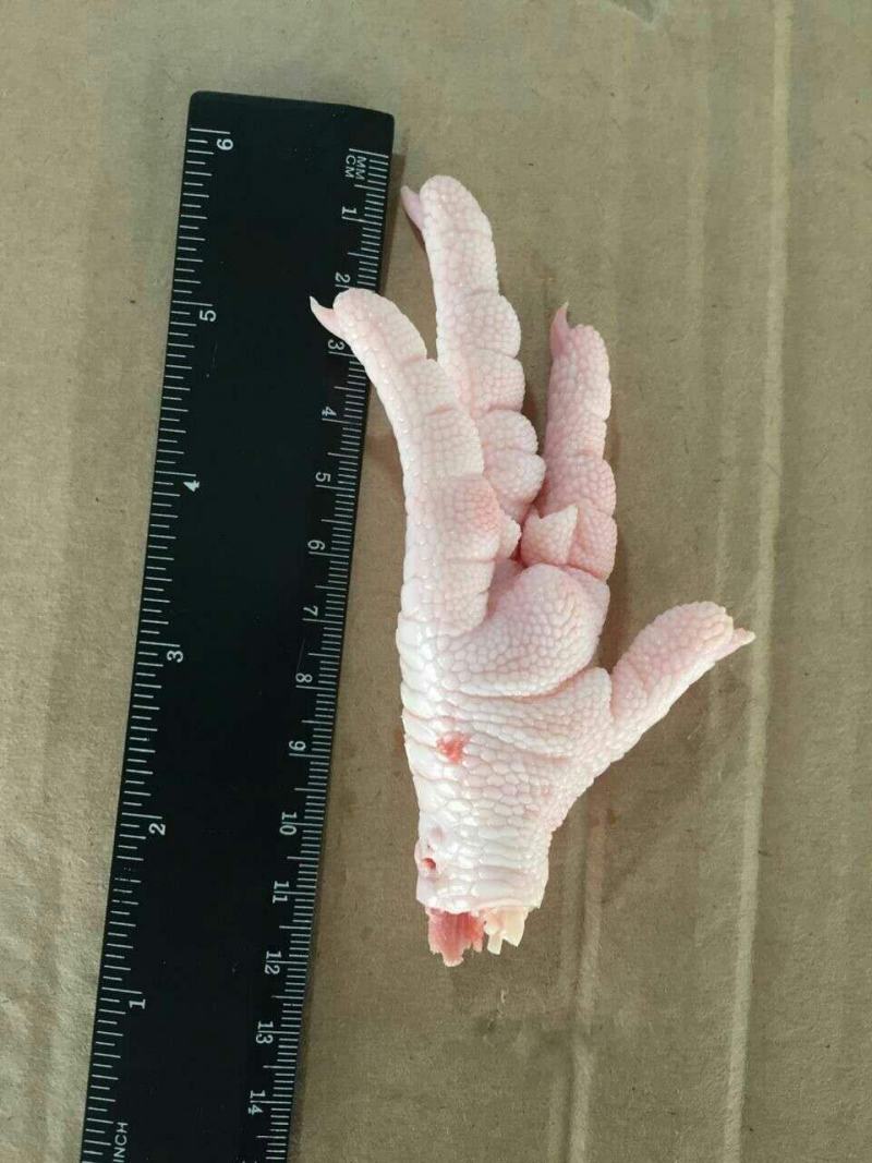 俄罗斯直采031—012—047厂正关鸡爪