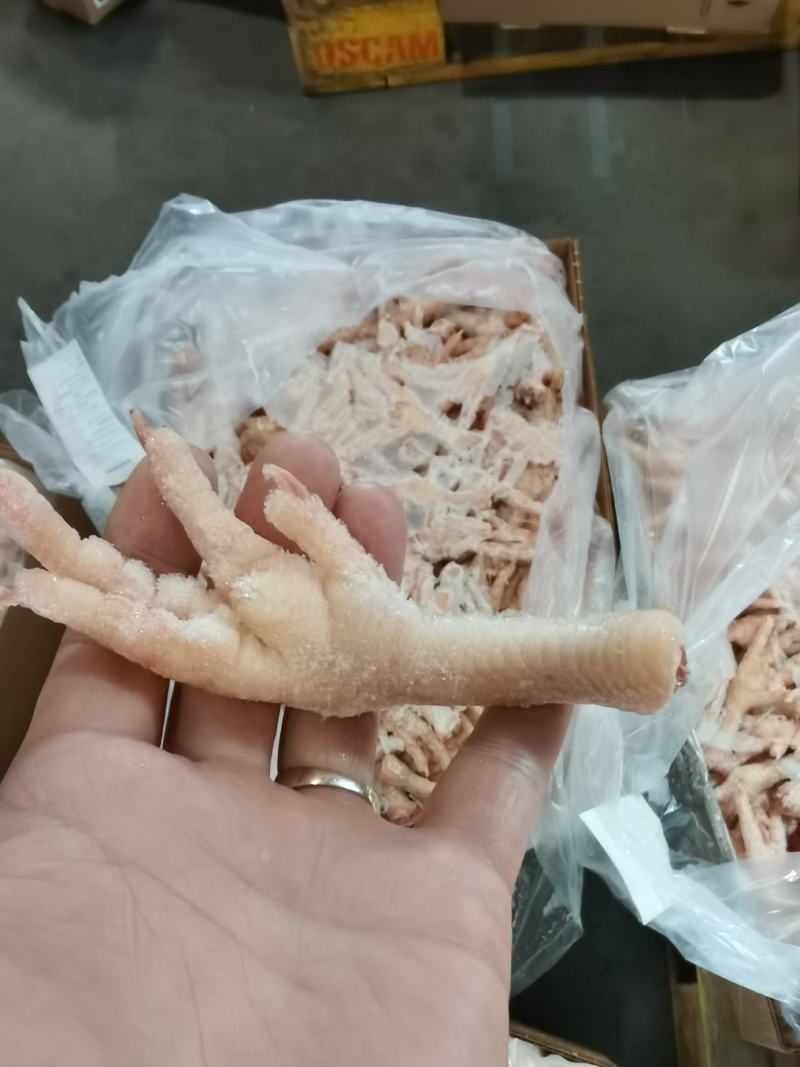 俄罗斯直采031—012—047厂正关鸡爪